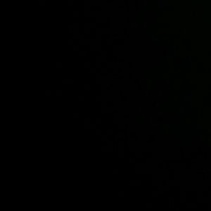 Meet your Posher, Bob